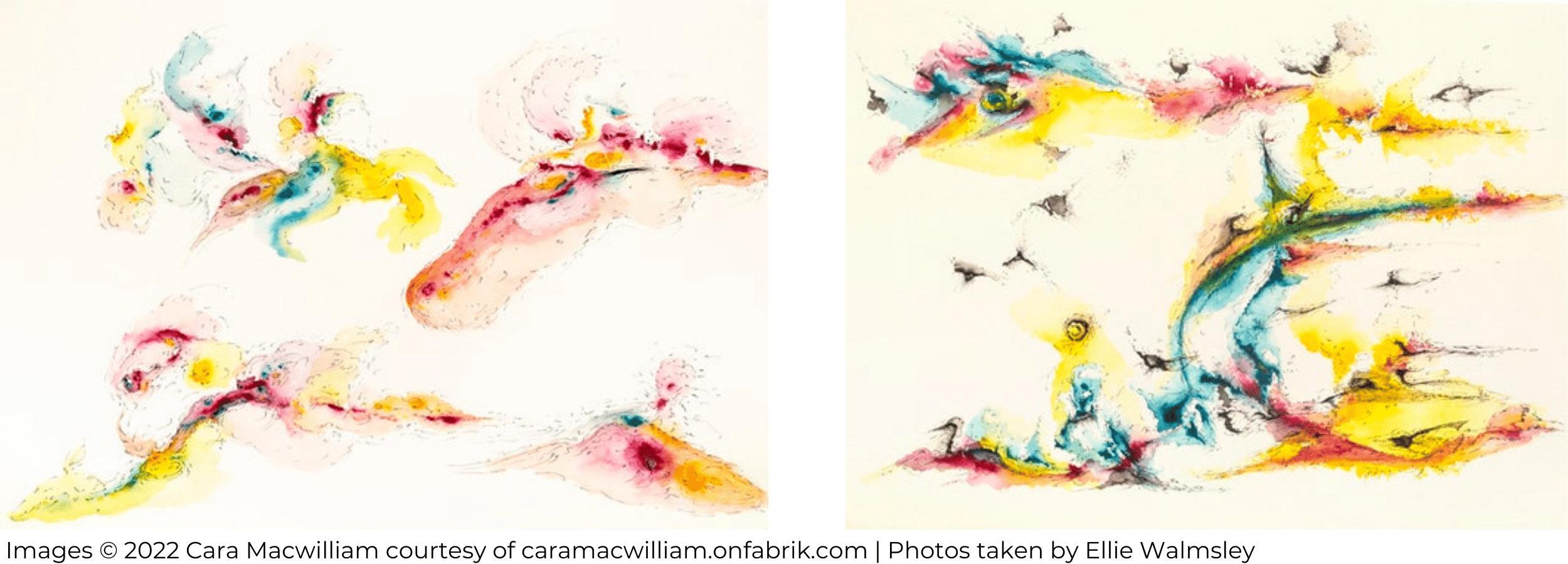 Cara Macwilliam's Paintings series