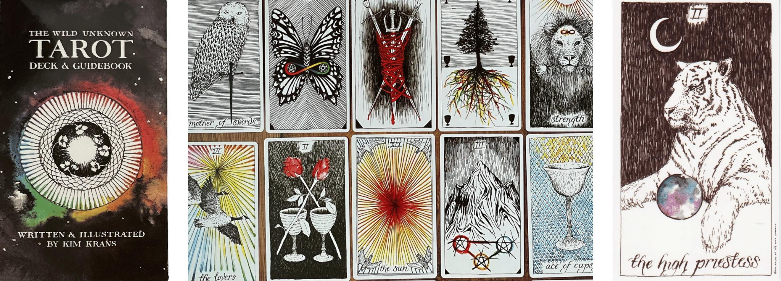 Wild Unknown Tarot cards