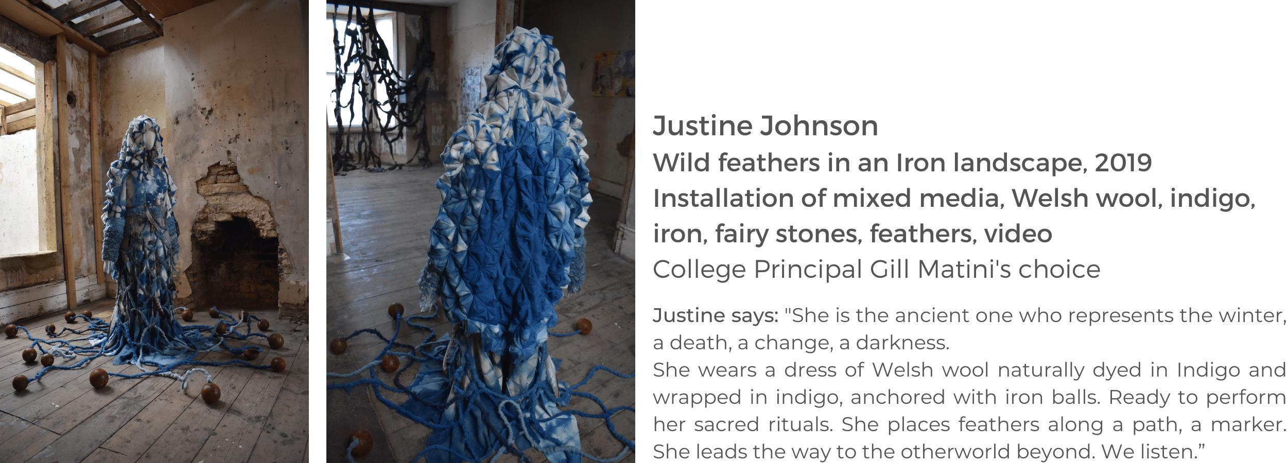 Photos of artist Justine Johnson's installation, Wild Feathers in a Iron Landscape)